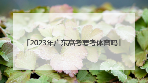 「2023年广东高考要考体育吗」2023年广东高考考不考体育