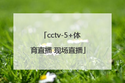「cctv-5+体育直播 现场直播」cctv5体育直播现场直播it直播