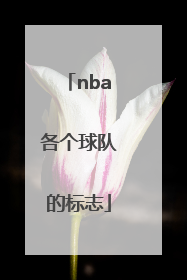 「nba各个球队的标志」Nba球队标志